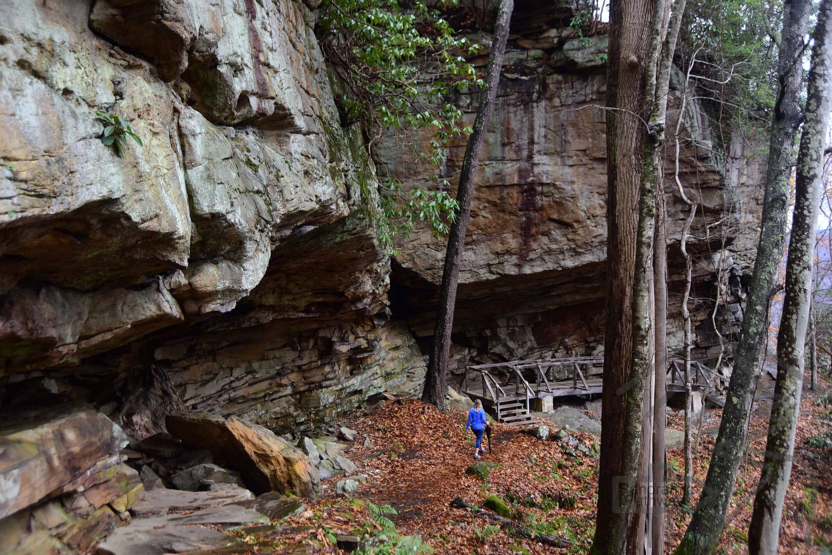 Tunnel Trail hike at Grandview, New River Gorge WV