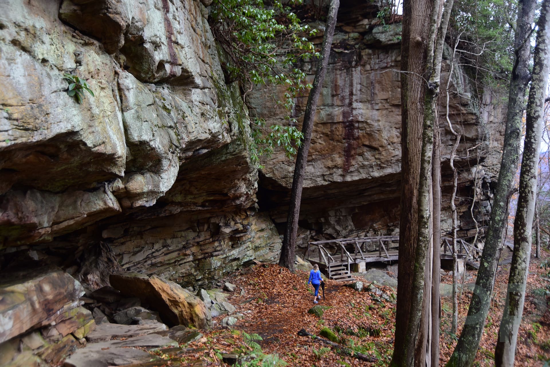 Tunnel Trail hike at Grandview, New River Gorge WV