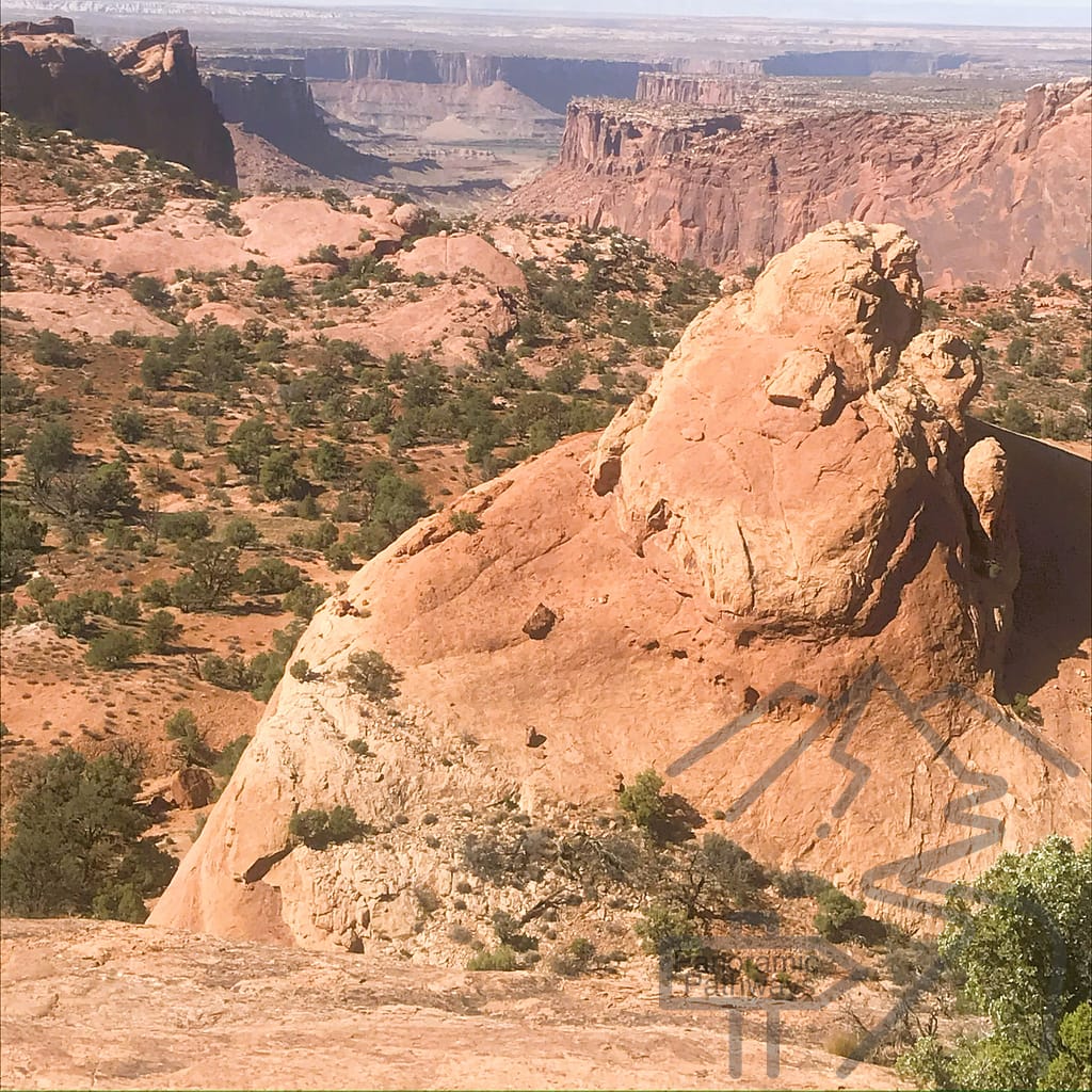 Head of Whale Rock, Island in the Sky, Canyonlands, Utah, USA