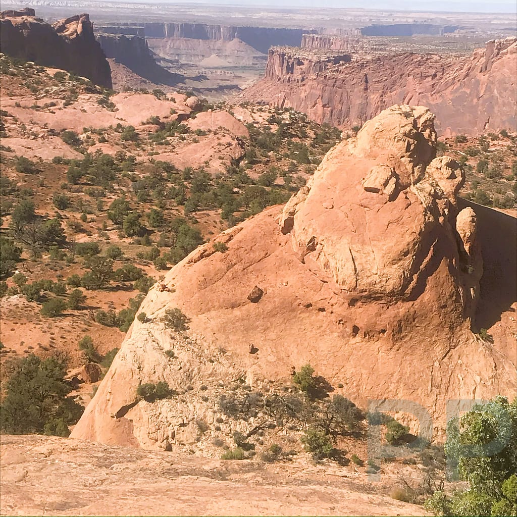 Head of Whale Rock, Island in the Sky, Canyonlands, Utah, USA