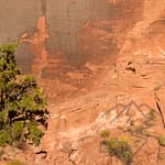 Petroglyphs on Potash RD, 279, bear, 