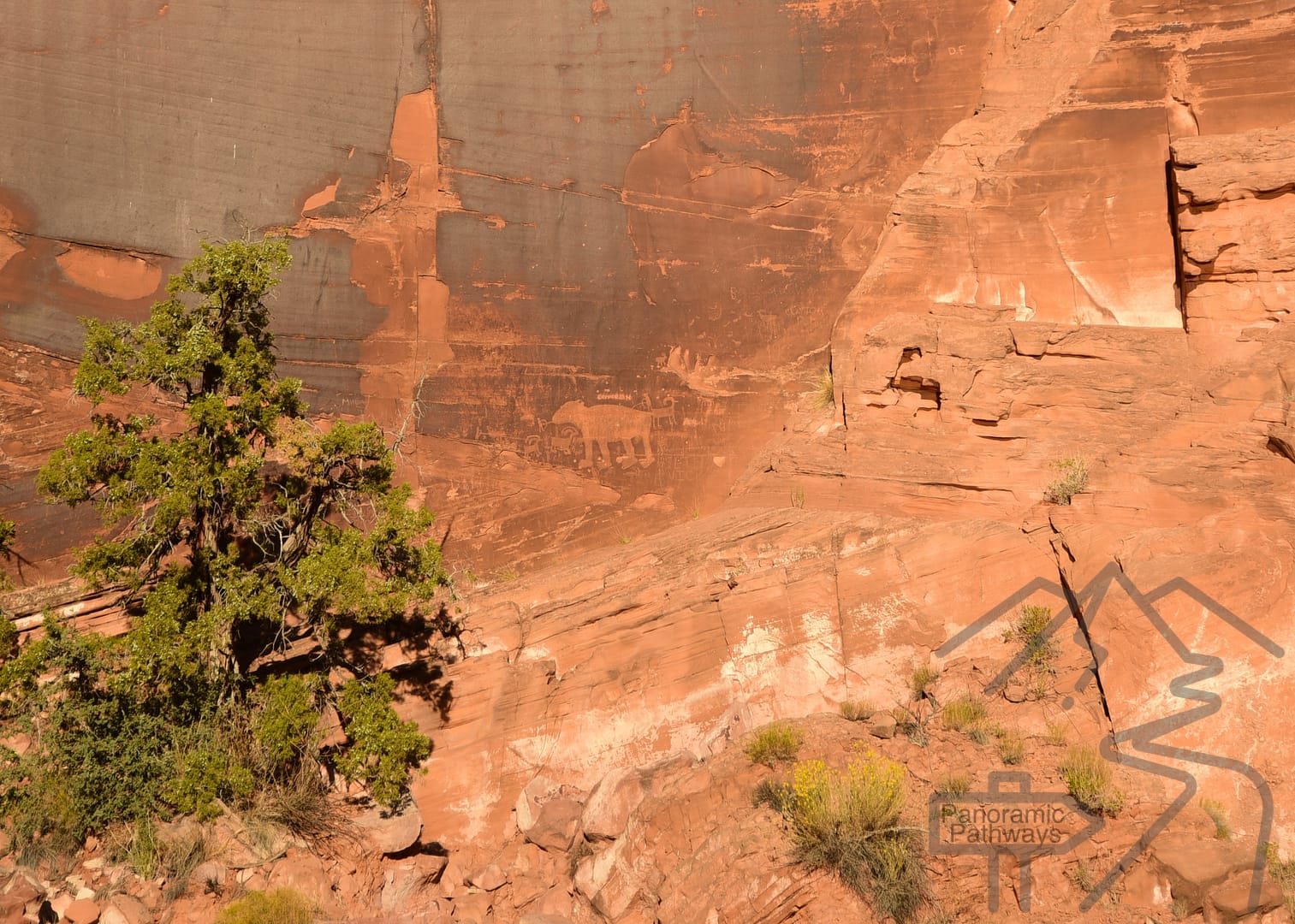 Petroglyphs on Potash RD, 279, bear, 