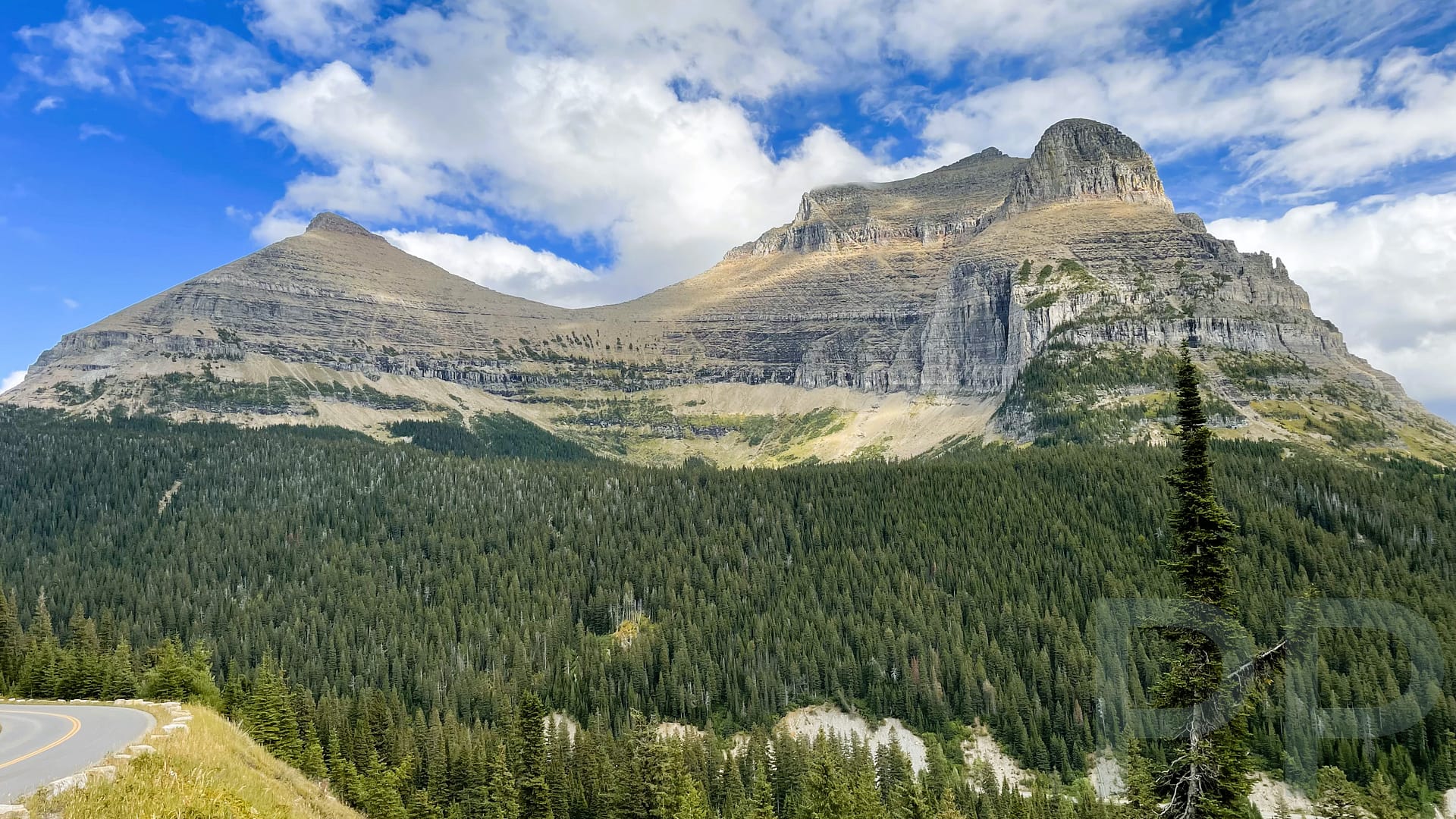 Layered mountain cliffs and evergreen forest along a scenic road in Glacier National Park, Montana