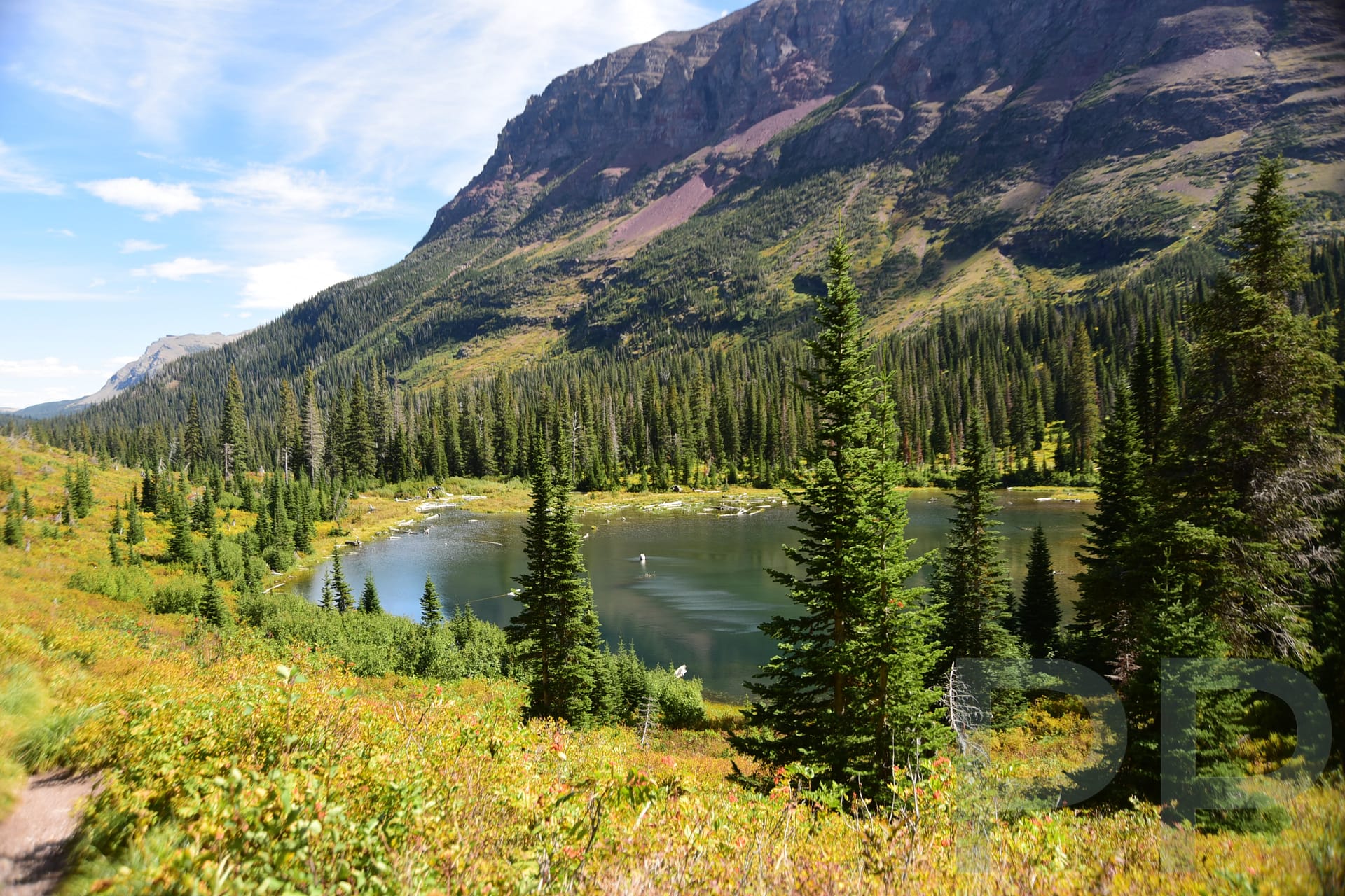 Alpine pond along the Upper Two Medicine Lake trail in Glacier National Park