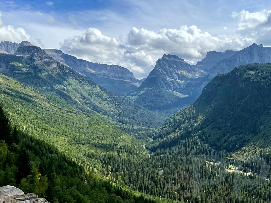 Wide mountain valley with dense evergreen forest and layered peaks in Glacier National Park, Montana