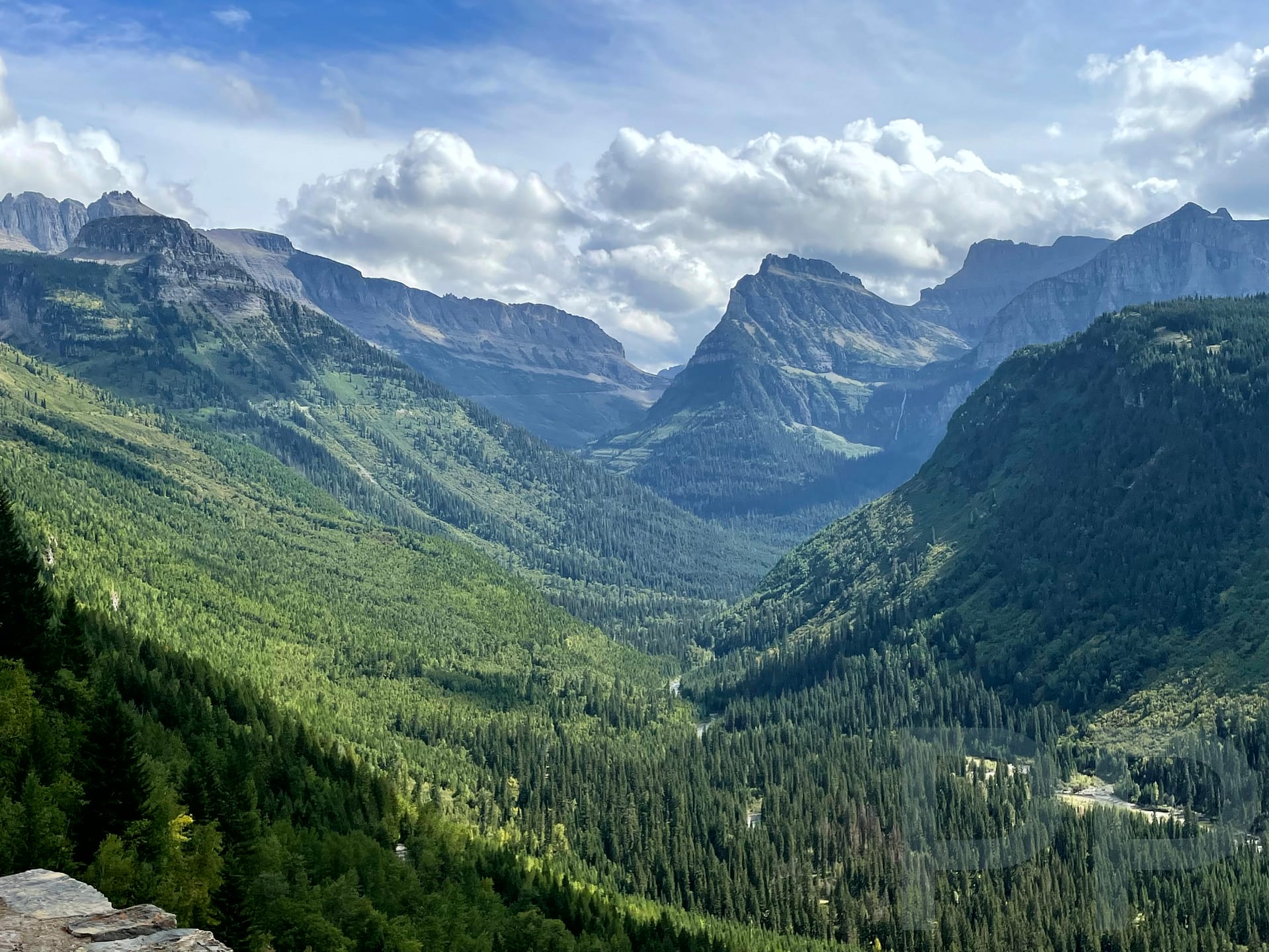 Wide mountain valley with dense evergreen forest and layered peaks in Glacier National Park, Montana