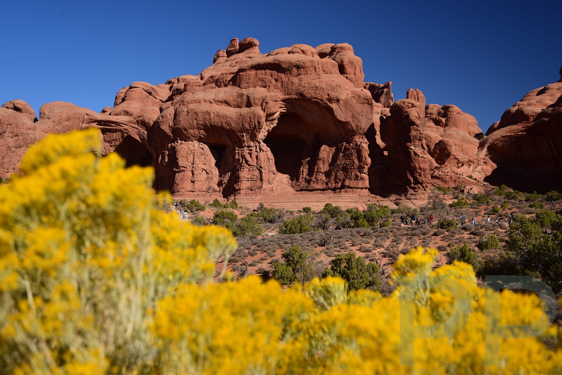 Parade of Elephants, Arches National Park