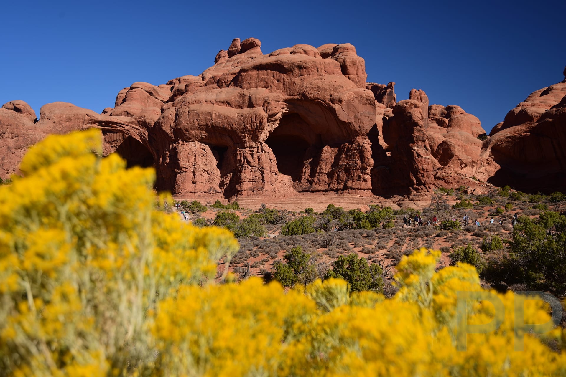 Parade of Elephants, Arches National Park