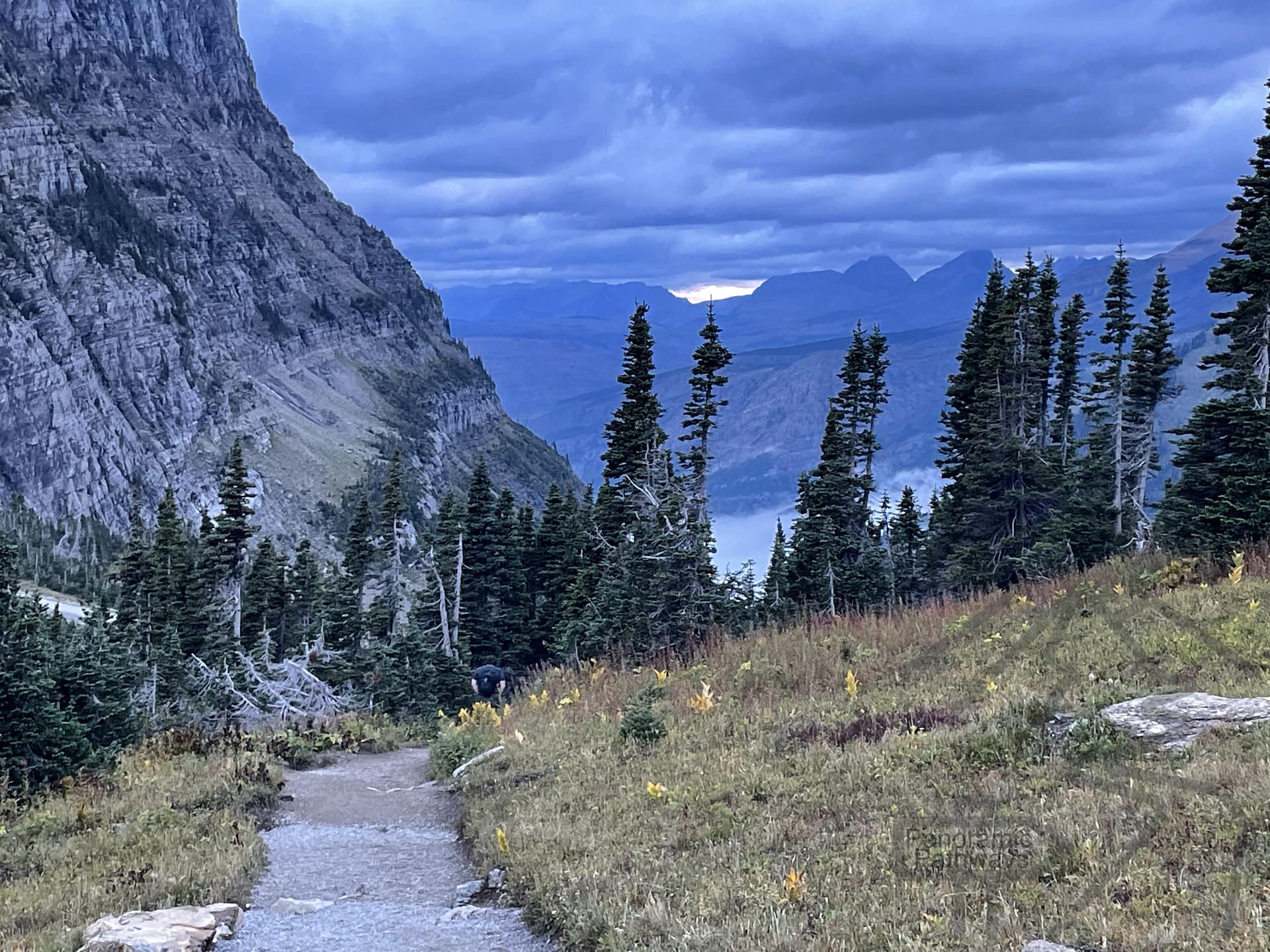 Start of the Highline Trail across the road from Logan Pass Visitor Center.