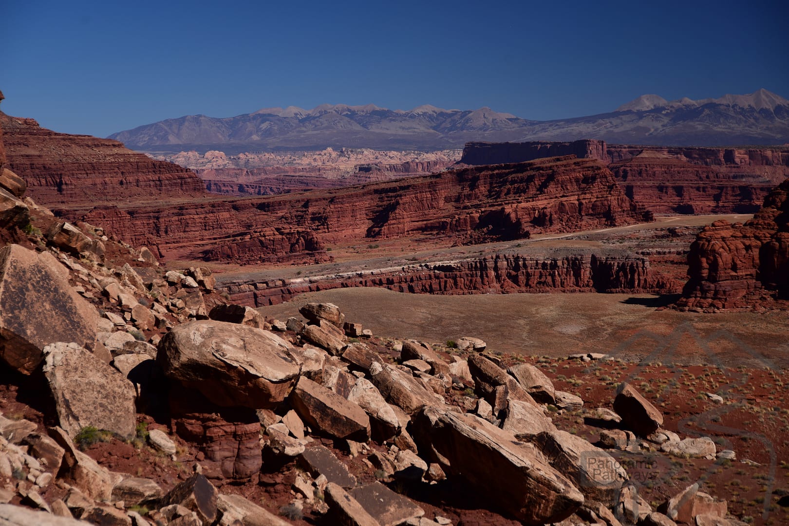 View, White Rim Road, La Sal Mountains, Canyonlands