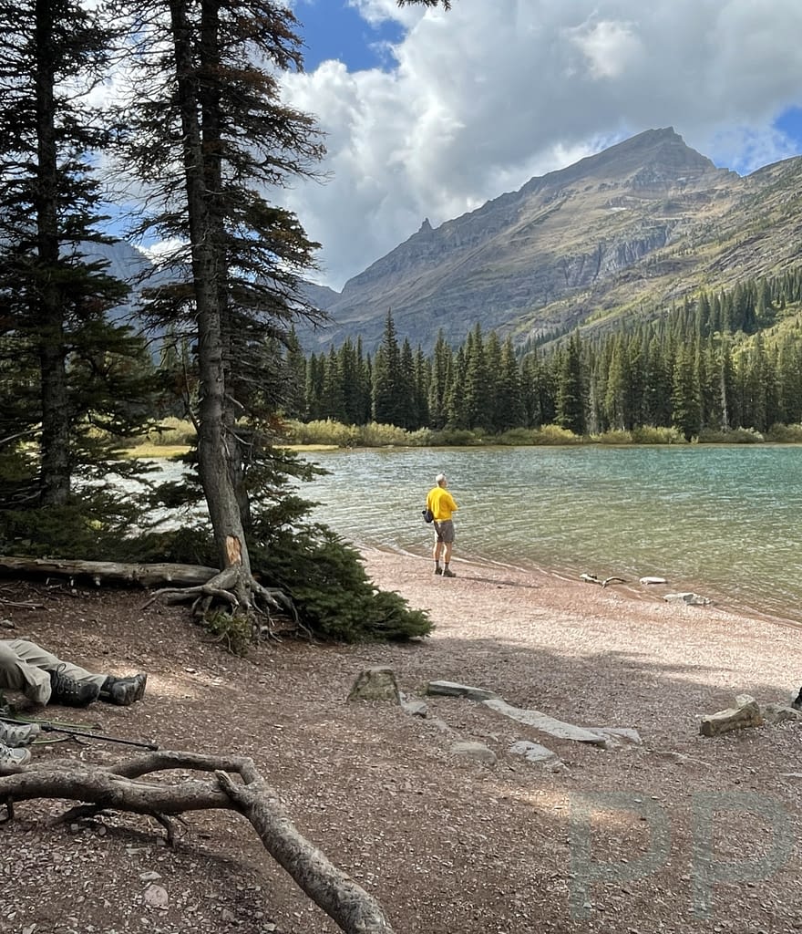 Scenic view of Lake Josephine shoreline in Glacier National Park