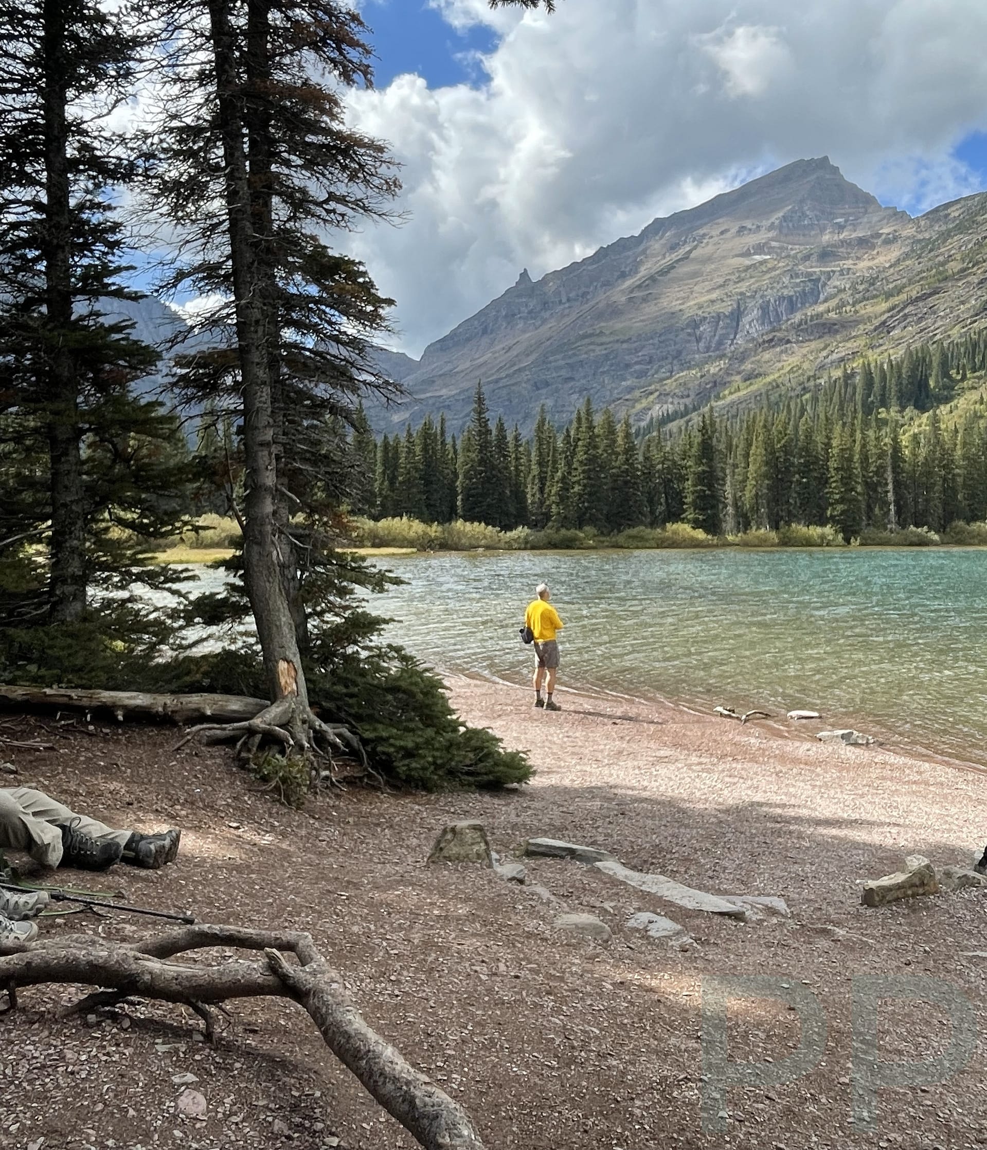 Scenic view of Lake Josephine shoreline in Glacier National Park