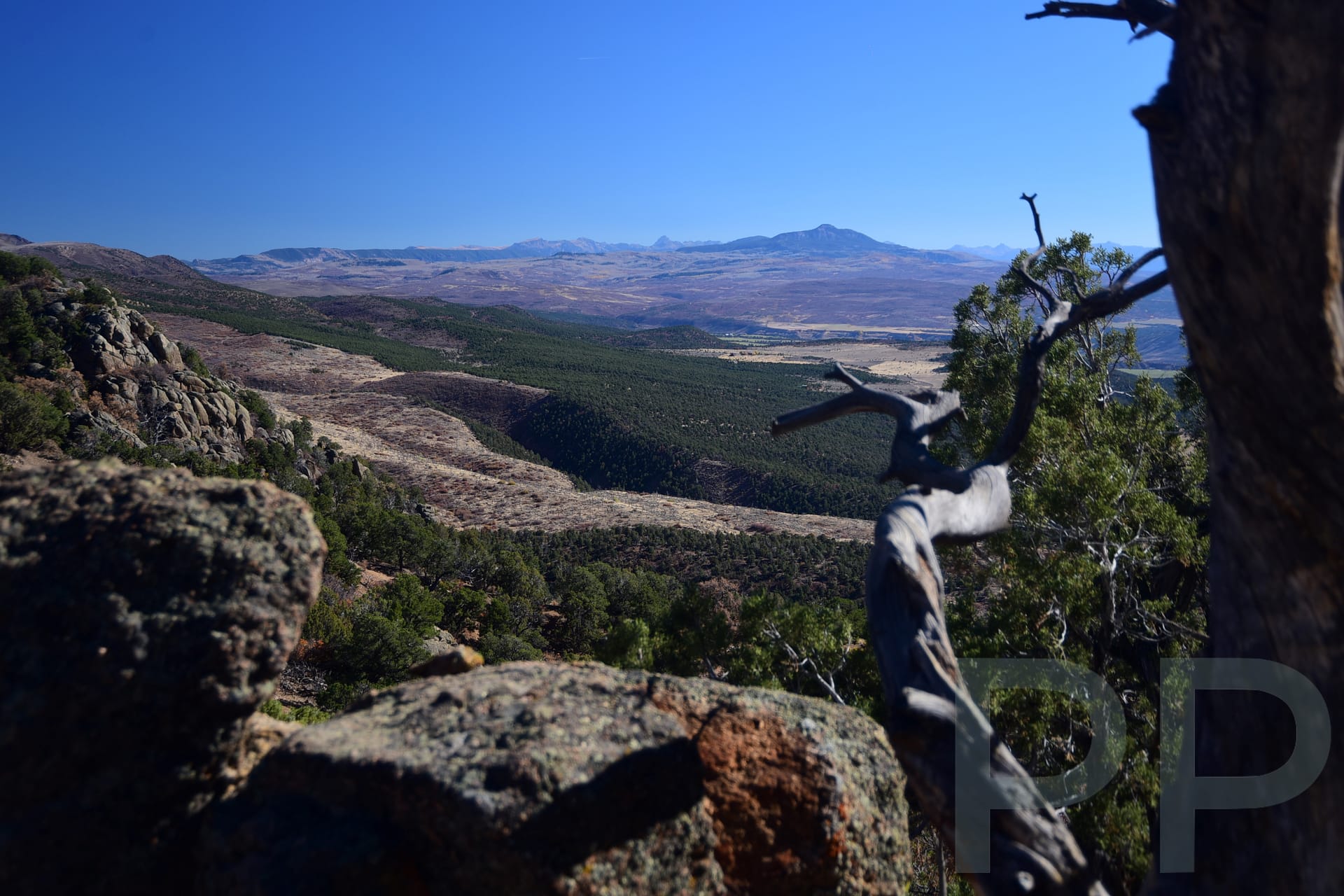 View, Warner Point Nature Trail, High Point, South Rim, Black Canyon of the Gunnison National Park, CO