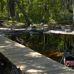 Dock at Billy's Island, Okefenokee