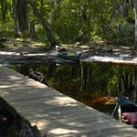 Dock at Billy's Island, Okefenokee