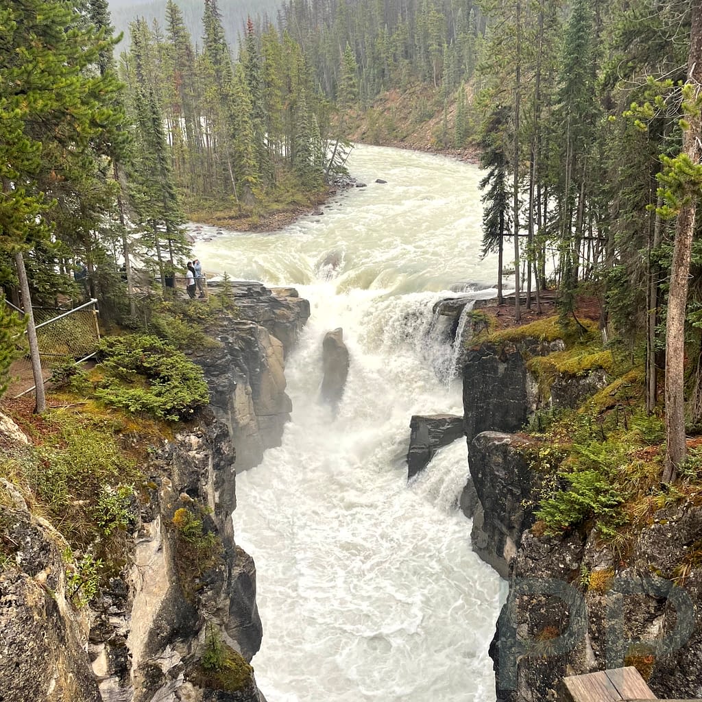 Sunwapta Falls Icefields Parkway Jasper National Park 