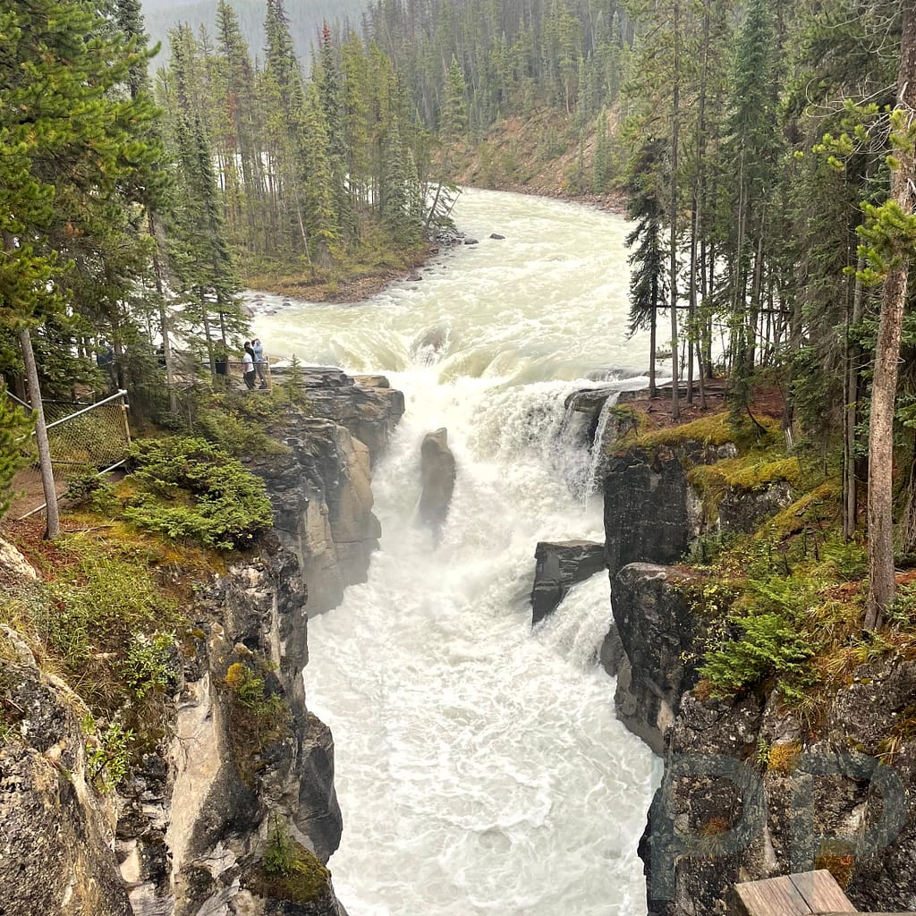 Sunwapta Falls Icefields Parkway Jasper National Park 