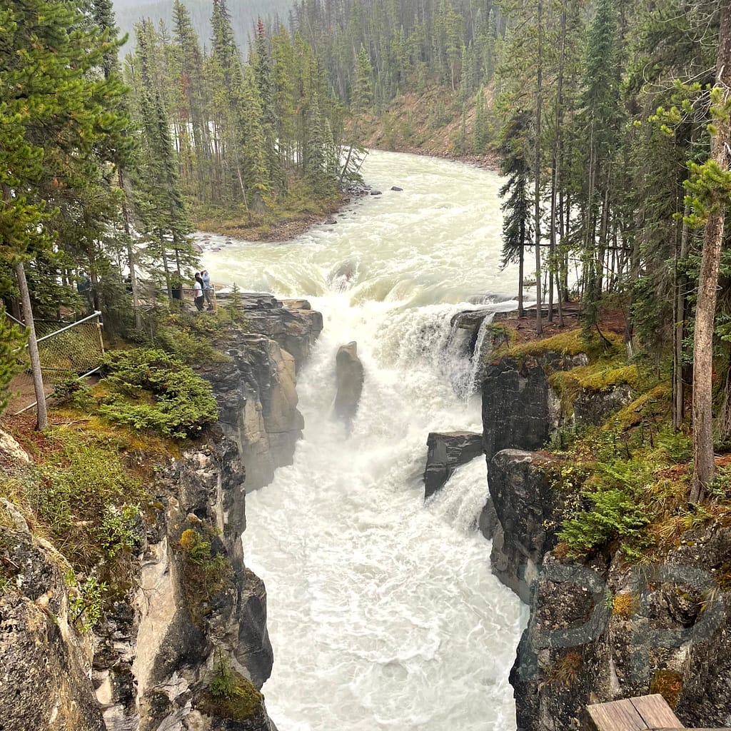 Sunwapta Falls Icefields Parkway Jasper National Park 