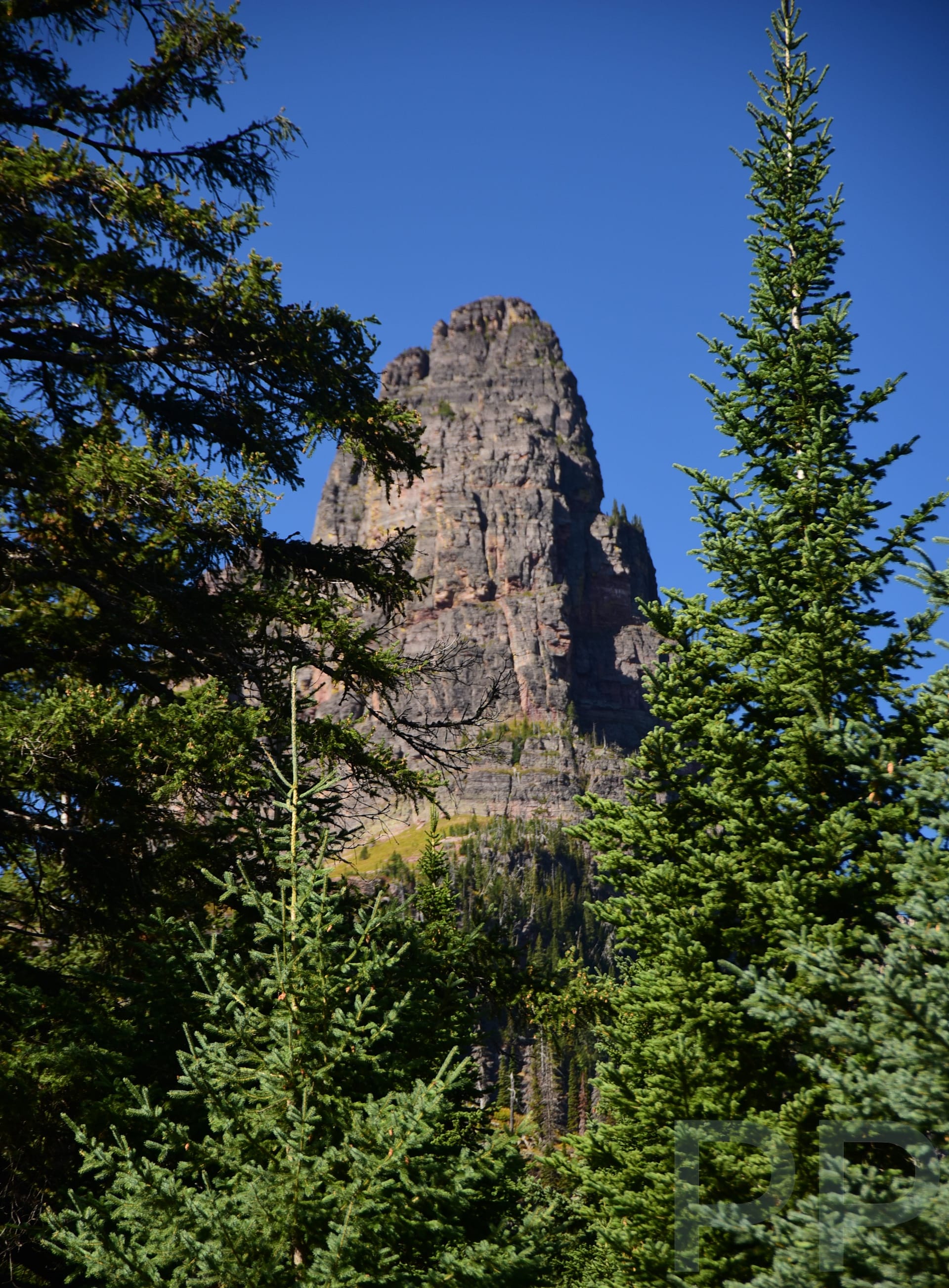 Pumpelly Pillar rock formation framed by trees in the Two Medicine area of Glacier National Park