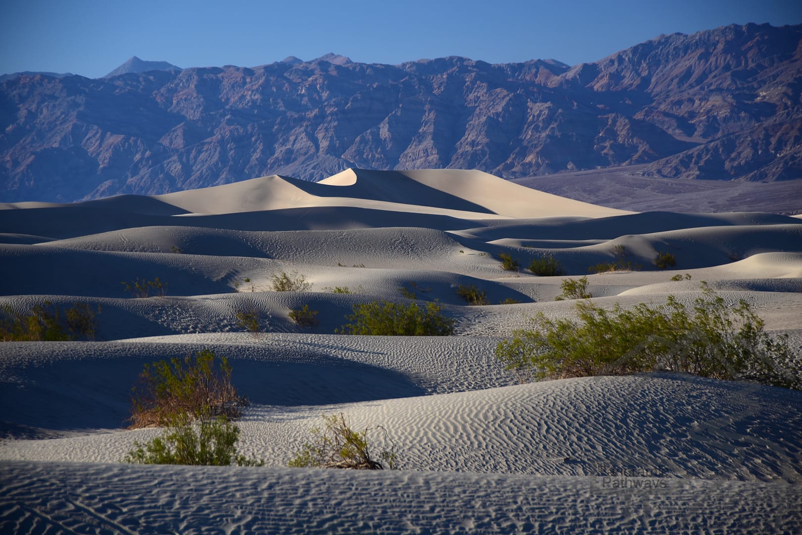 Mesquite Flats Sand Dunes, Sunrise, 