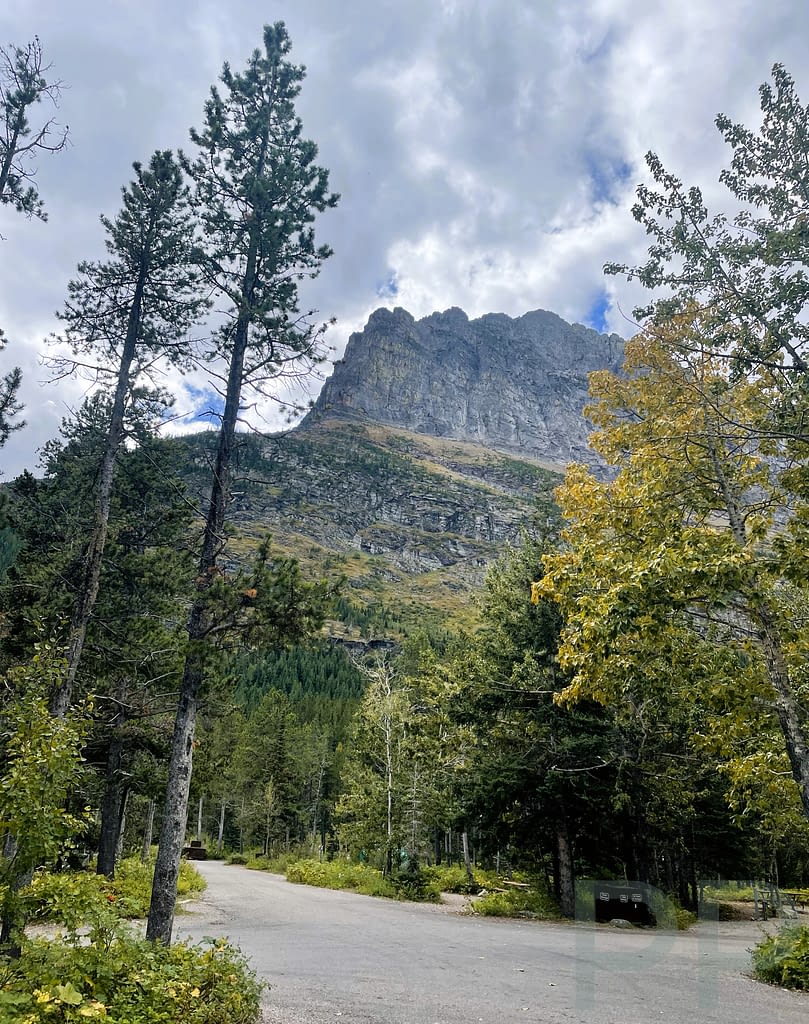 Many Glacier Campground road with trees and steep mountain cliffs in Glacier National Park