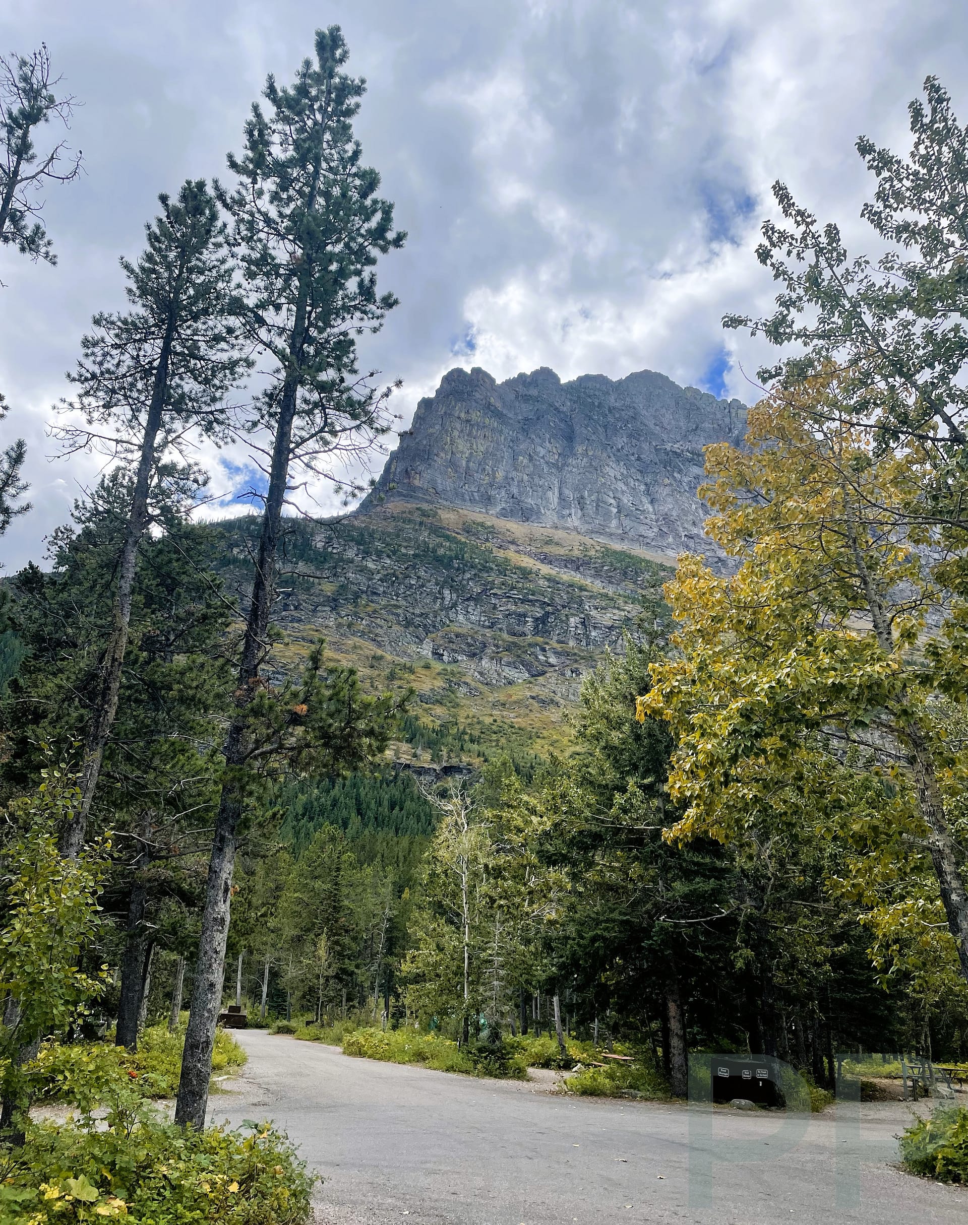 Many Glacier Campground road with trees and steep mountain cliffs in Glacier National Park