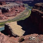 Colorado River Overlook, White Rim Tour, NAVTECH, Canyonlands National Park