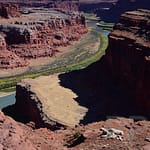Colorado River Overlook, White Rim Tour, NAVTECH, Canyonlands National Park