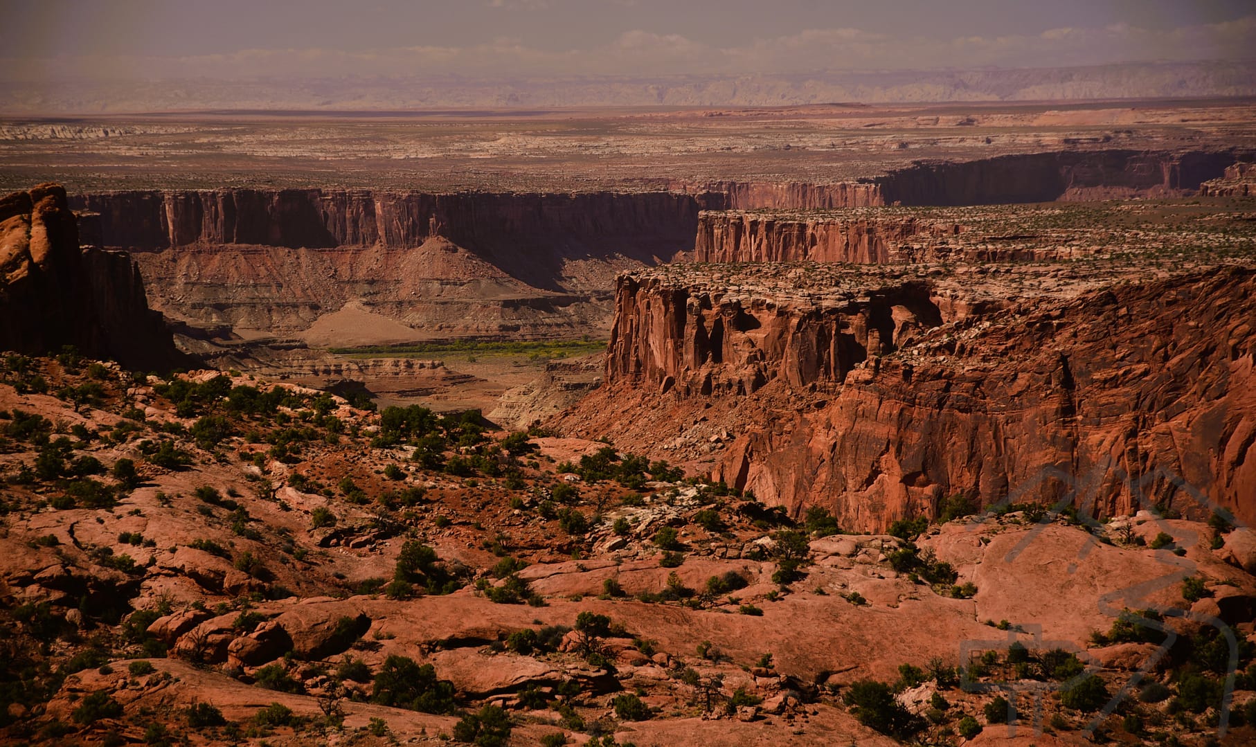 View from Whale Rock, Island in the Sky, Canyonlands, Utah