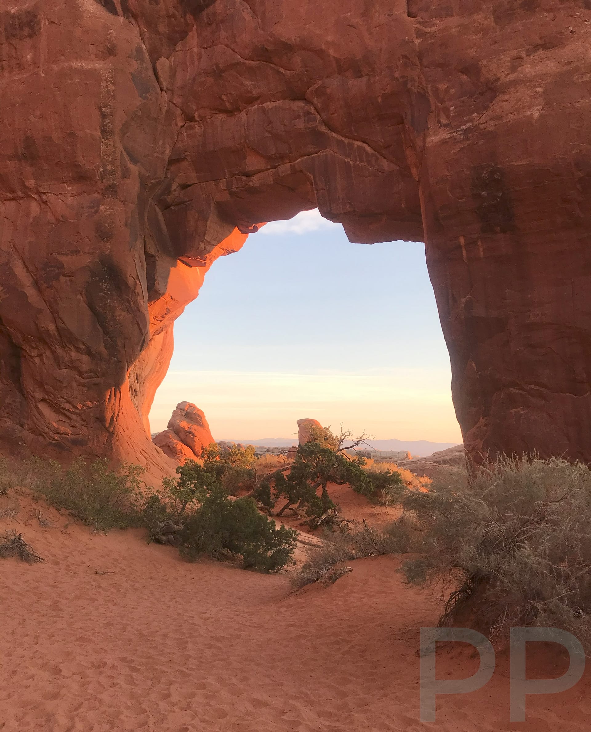 Pine Tree Arch with sandy foreground and trees in Devils Garden Arches National Park