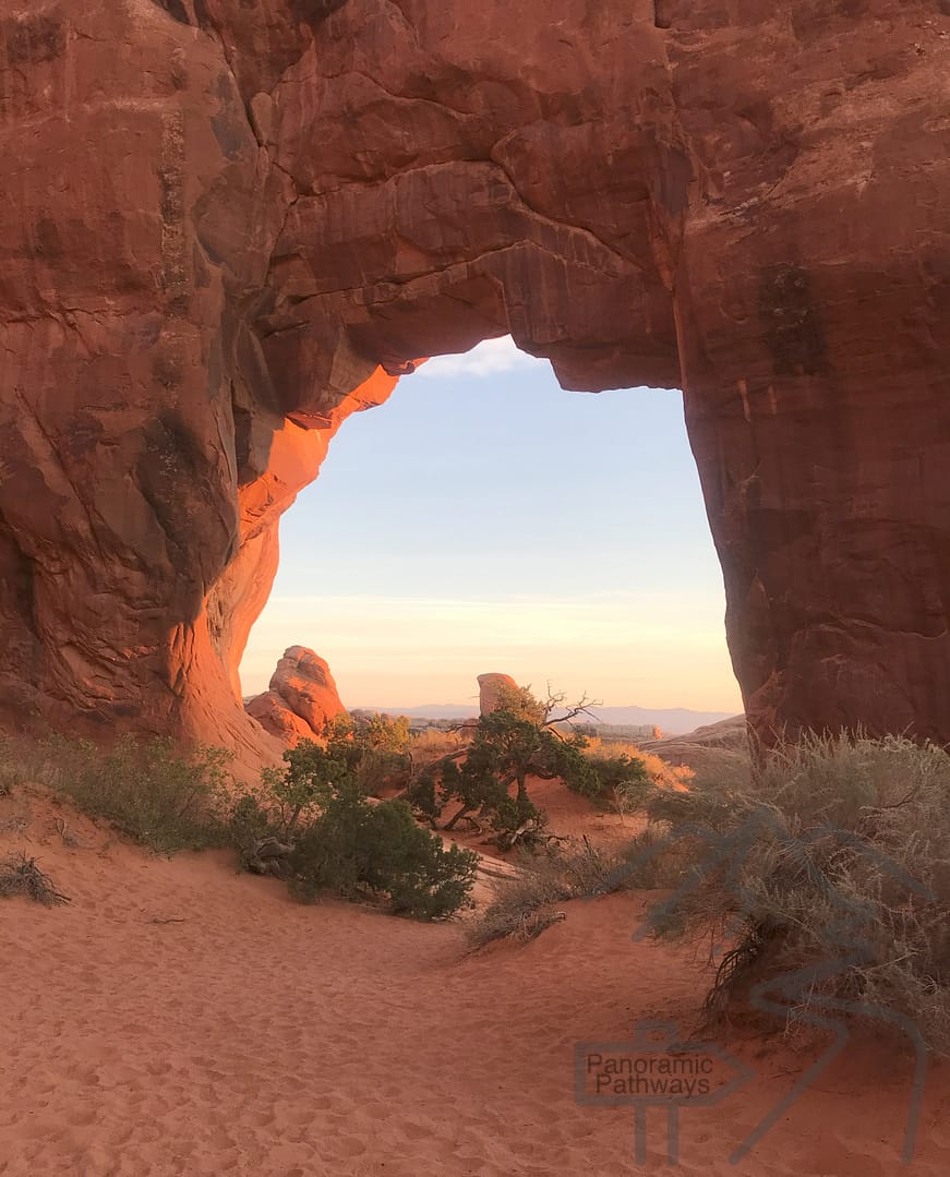 Pine Tree Arch