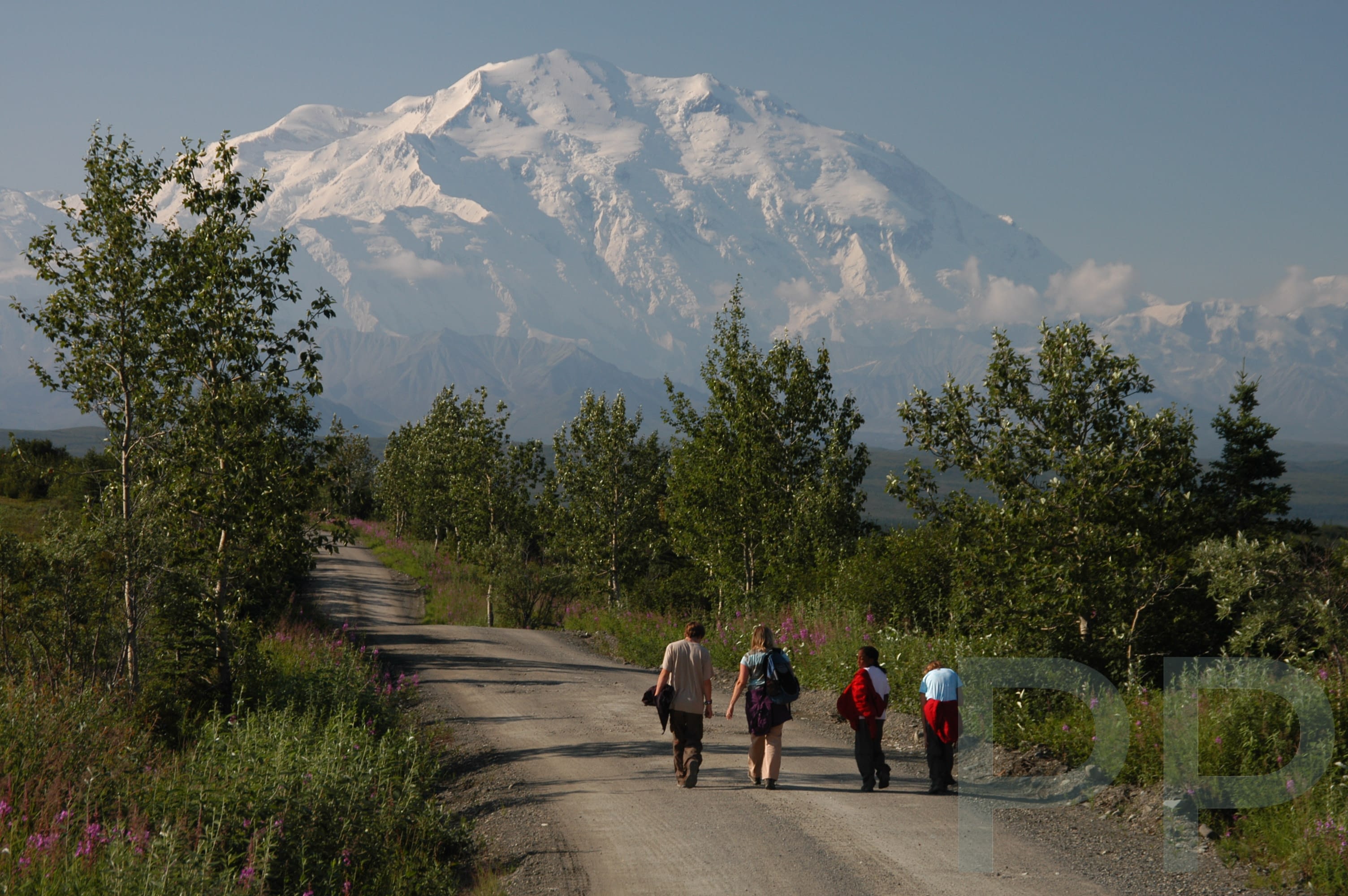 Denali mountain reflected near Wonder Lake in Denali National Park Alaska