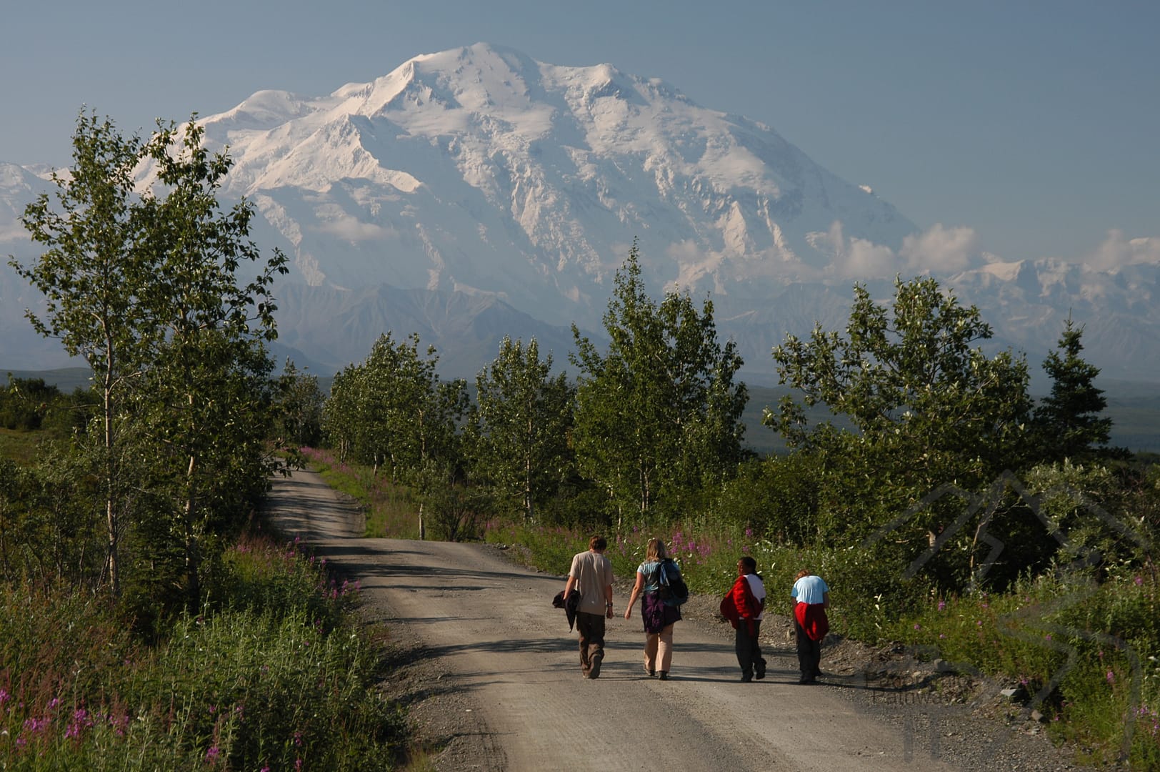 Travel photography: Denali from near Wonder Lake, Denali National Park