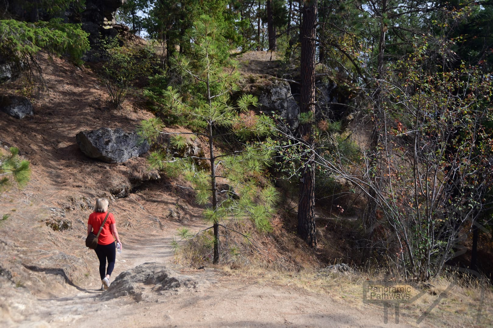 Coeur d'Alene, Tubbs Hill Hike