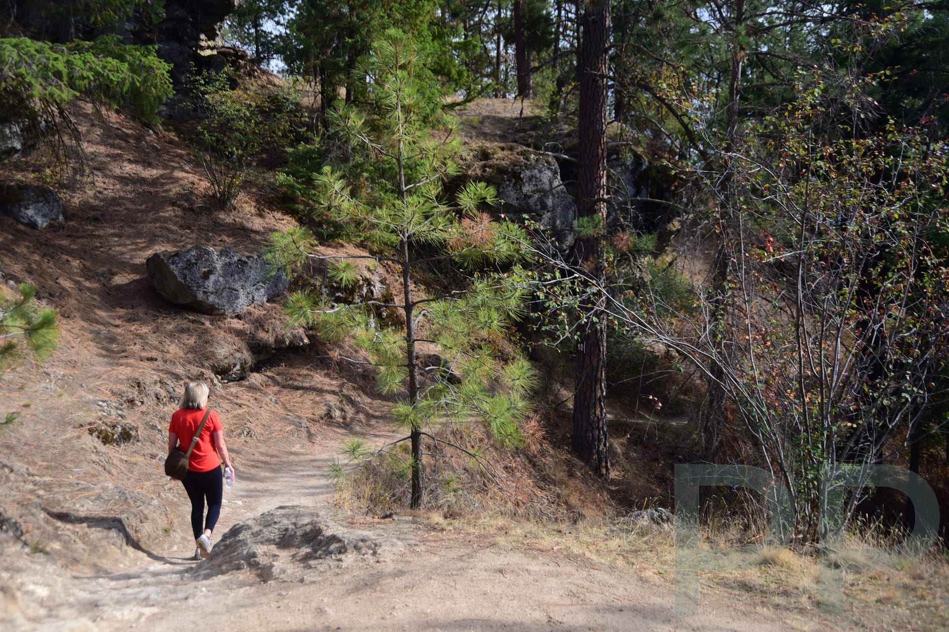 Coeur d'Alene, Tubbs Hill Hike