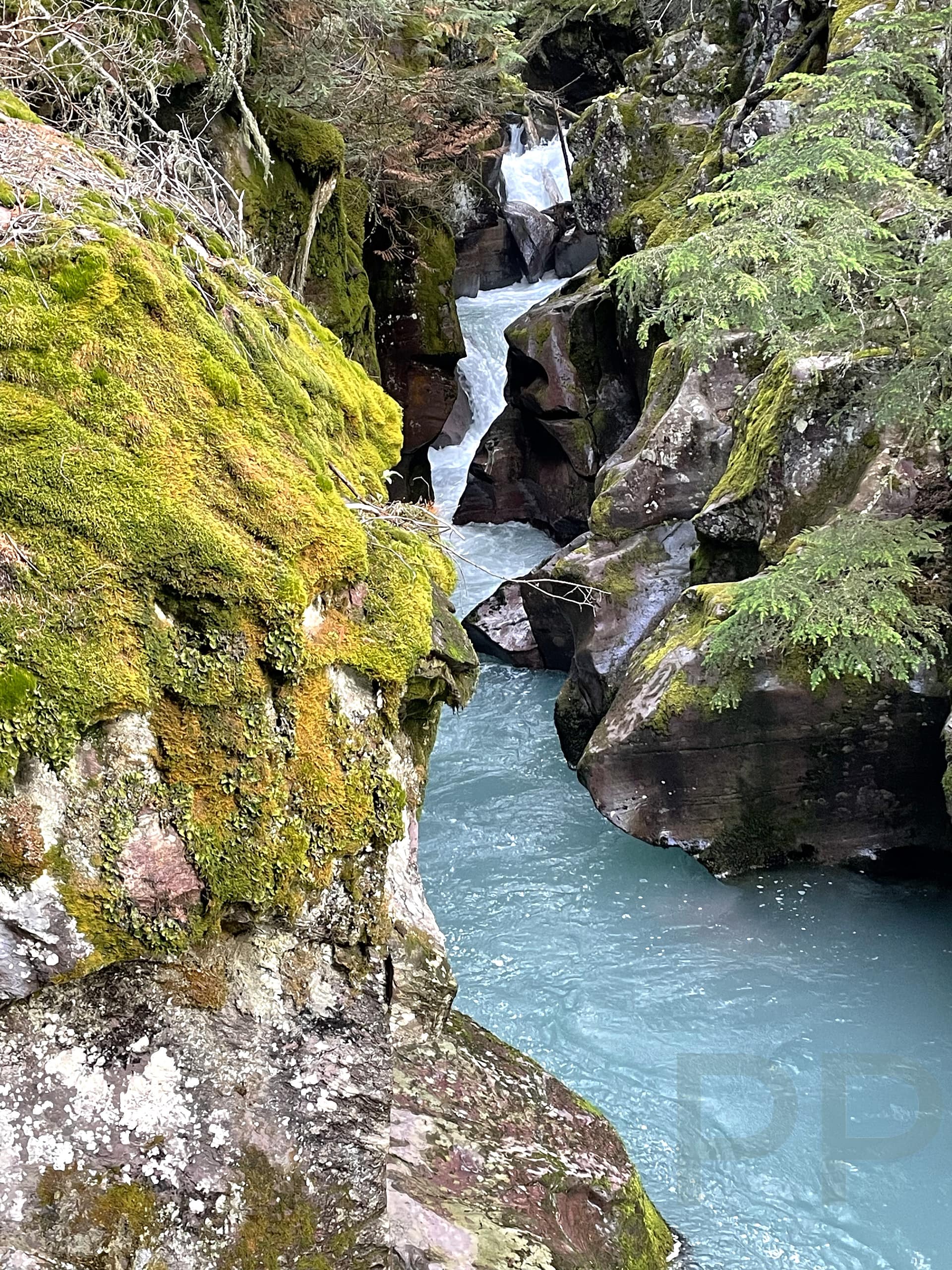 Avalanche Creek cascading through a rocky gorge near the Trail of the Cedars in Glacier National Park