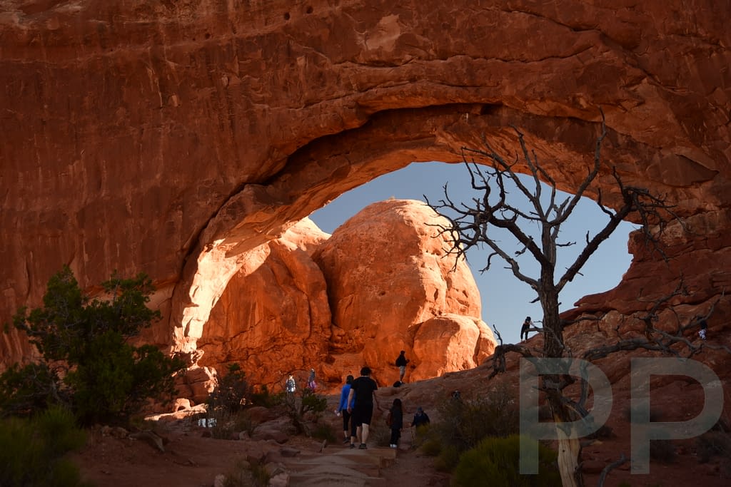North Window, Windows Section, Arches