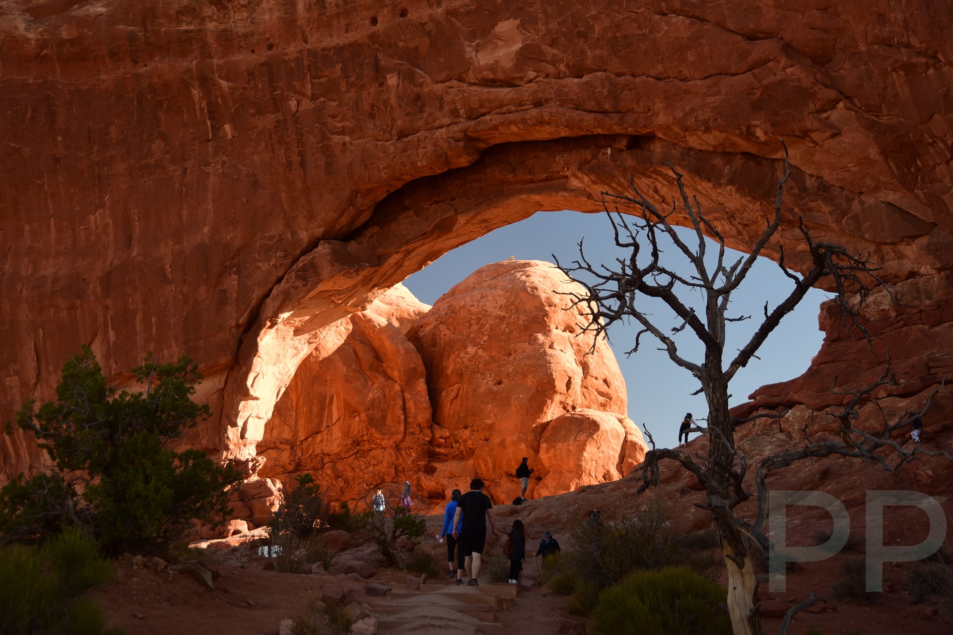 North Window, Windows Section, Arches