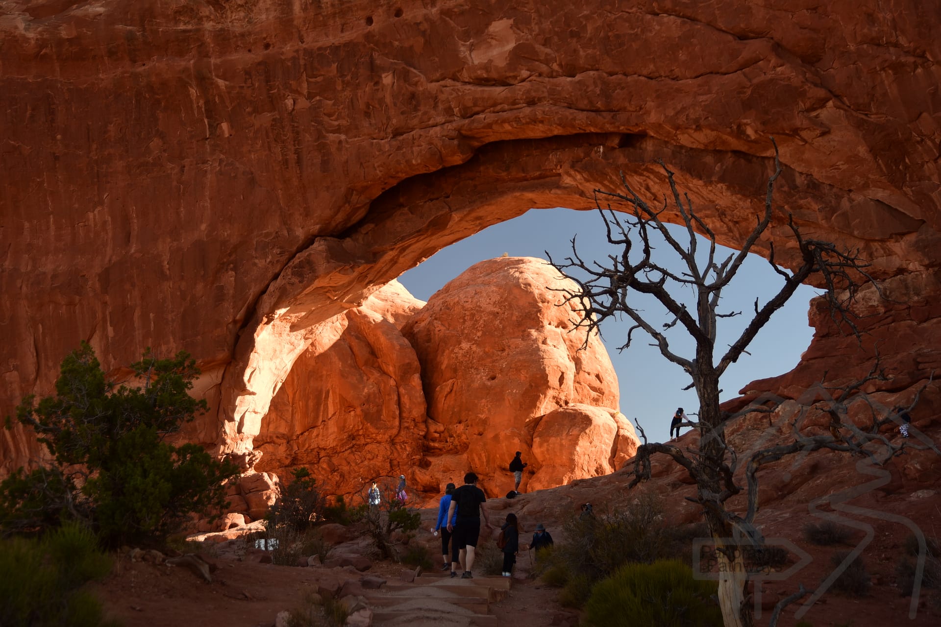 North Window, Windows Section, Arches