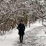 Rim Trail, Grandview, New River Gorge National Park