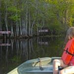 Boating on Billys Lake (Suwannee River) in Okefenokee National Wildlife Refuge