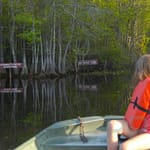 Boating on Billys Lake (Suwannee River) in Okefenokee National Wildlife Refuge