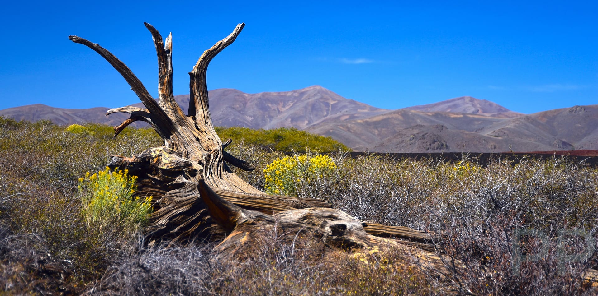 7 Mile Loop Road, North view from Inferno Cone, Craters of the Moon, ID
