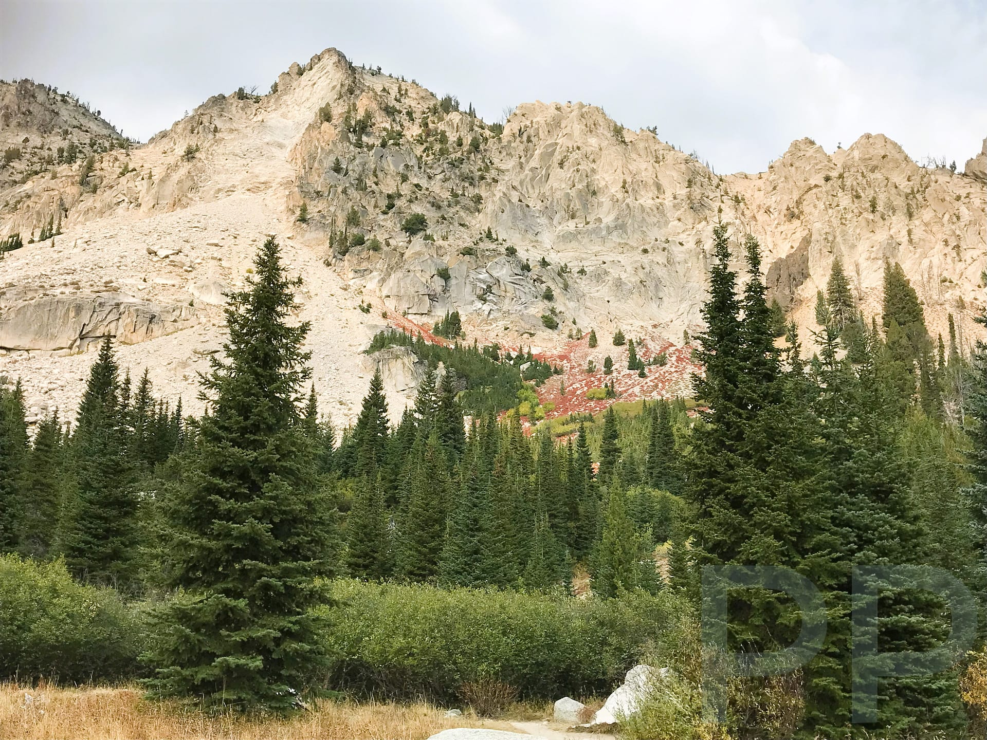 Sawtooth Mountains, Iron Creek to Sawtooth Lake Trail, Idaho