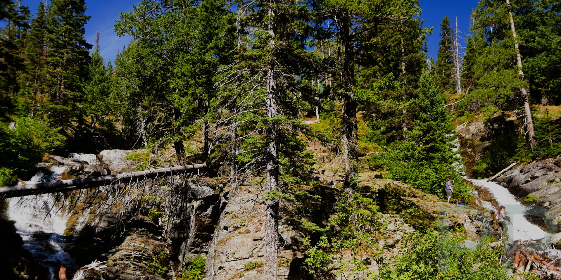 Twin Falls cascading over Pumpelly Pillar on the Upper Two Medicine Lake trail