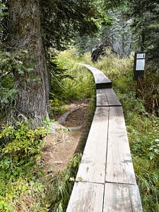 Raised wooden boardwalk path leading Lake Josephine Boat Dock on Grinnell Glacier Hike