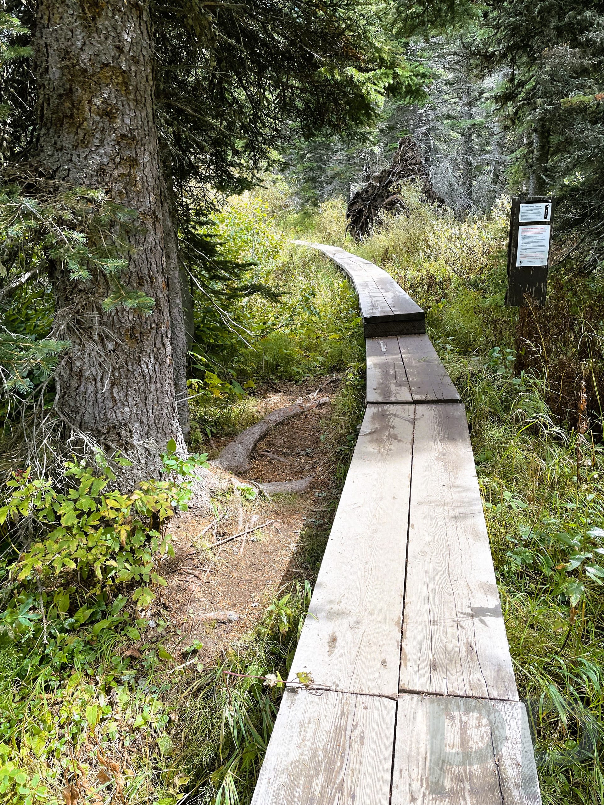 Raised wooden boardwalk path leading Lake Josephine Boat Dock on Grinnell Glacier Hike