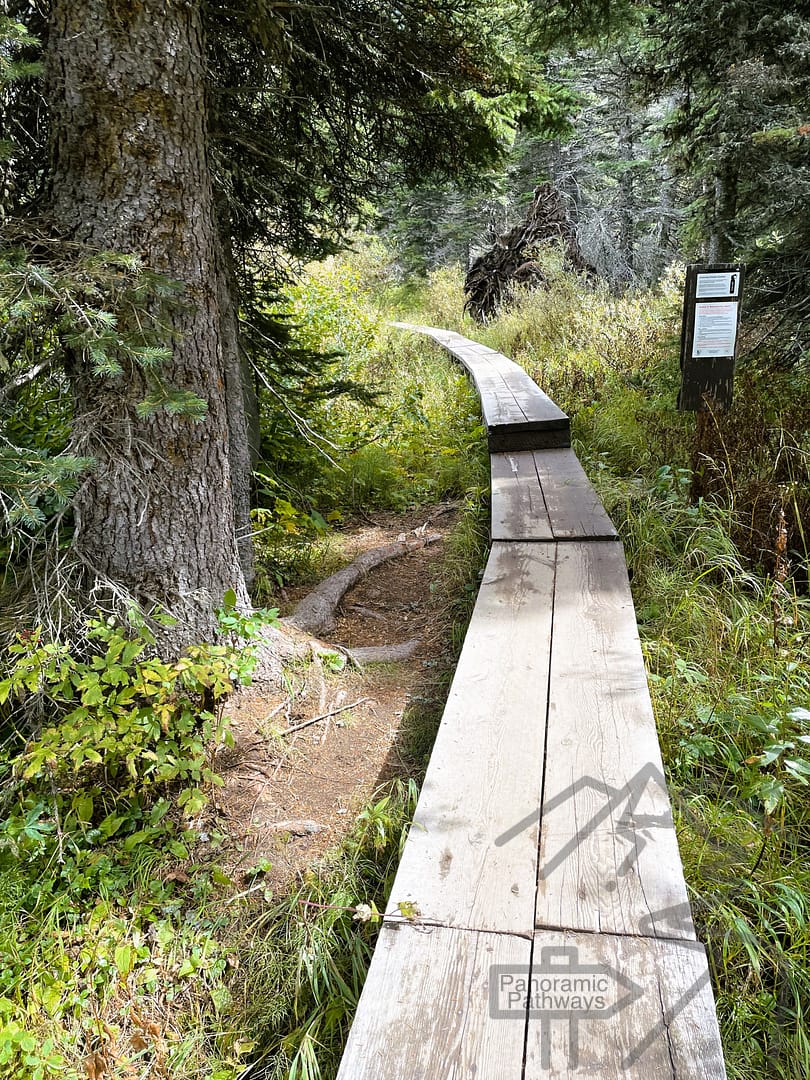 Raised wooden boardwalk, path, to Lake Josephine Boat Dock, From Grinnell Glacier Hike, National Park, Montana