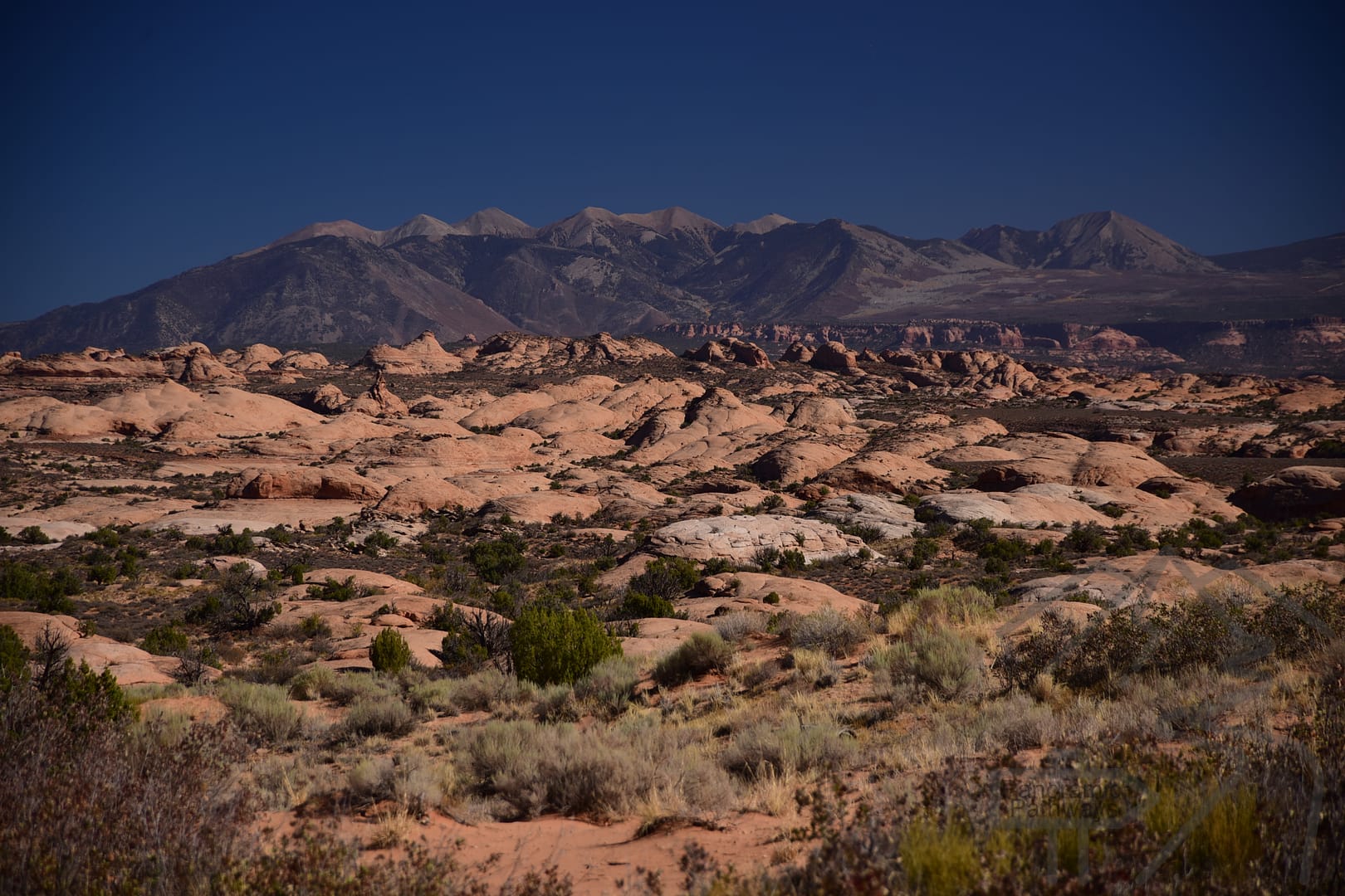 La Sal Mountain Viewpoint, Arches National Park, Utah