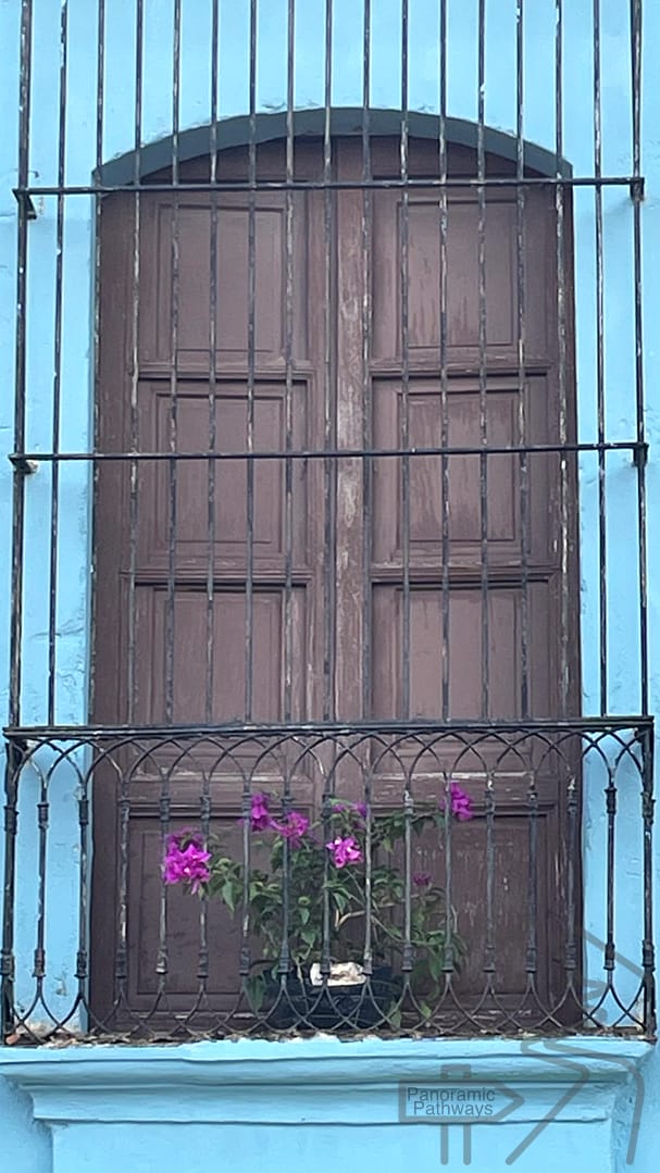 Colorful Flowers Suchitoto Paste Door Photography El Salvador